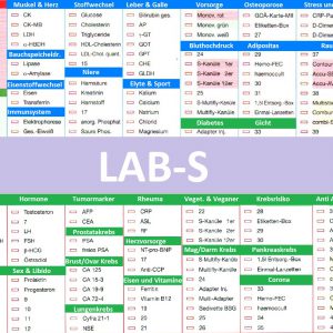 LAB-S